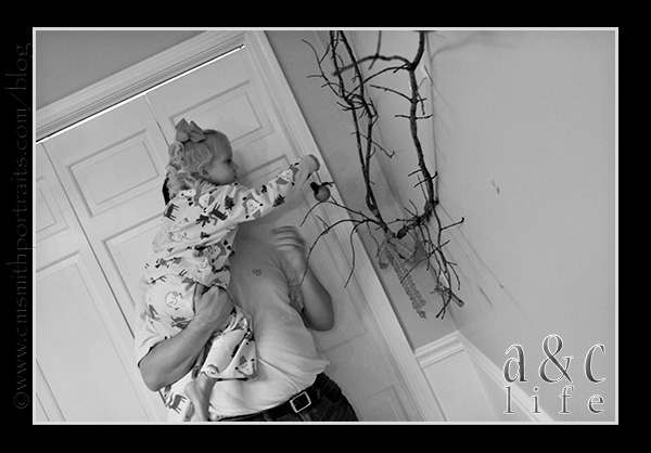 Jesse2n3-017 Jesse2n3-017